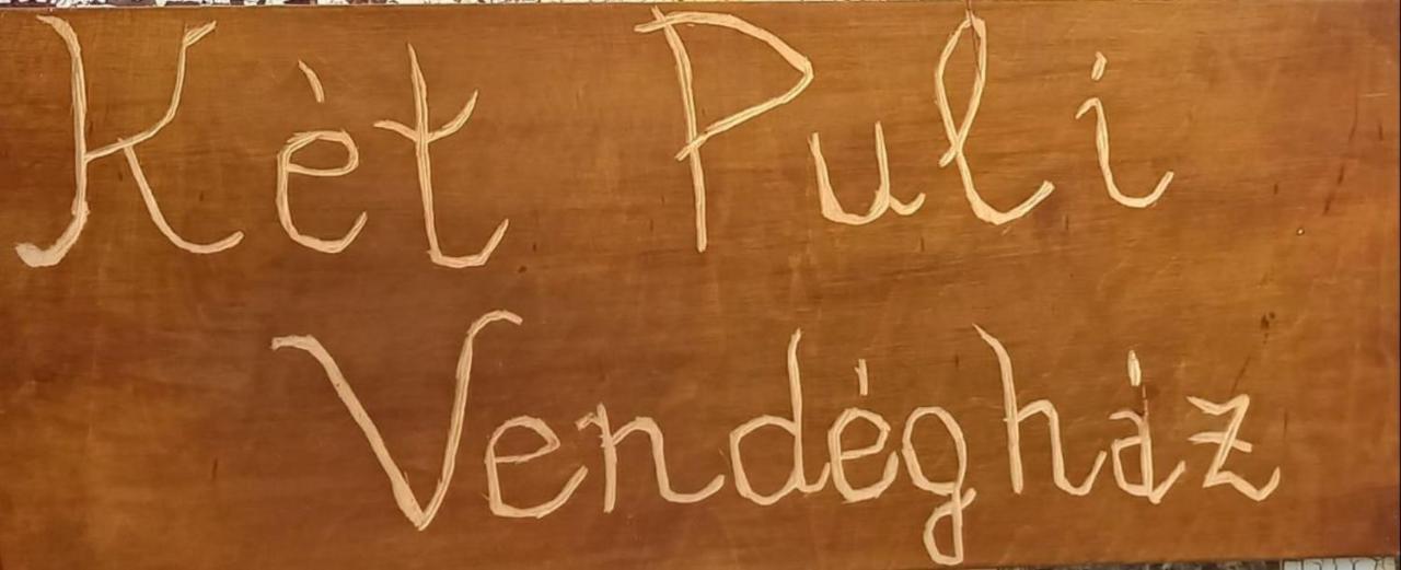 Ket Puli Vendeghaz *