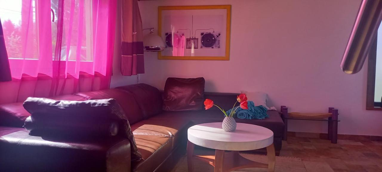 Apartment Ket Puli Vendeghaz