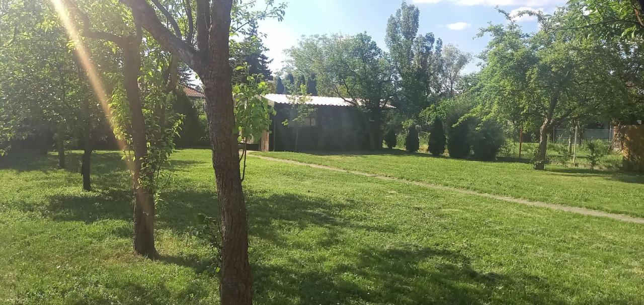 Ket Puli Vendeghaz Bekescsaba